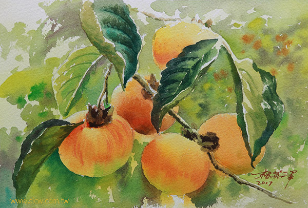 persimmon fruits in the tree_painted by Lai Ying-Tse 紅柿掛枝頭 賴英澤 繪